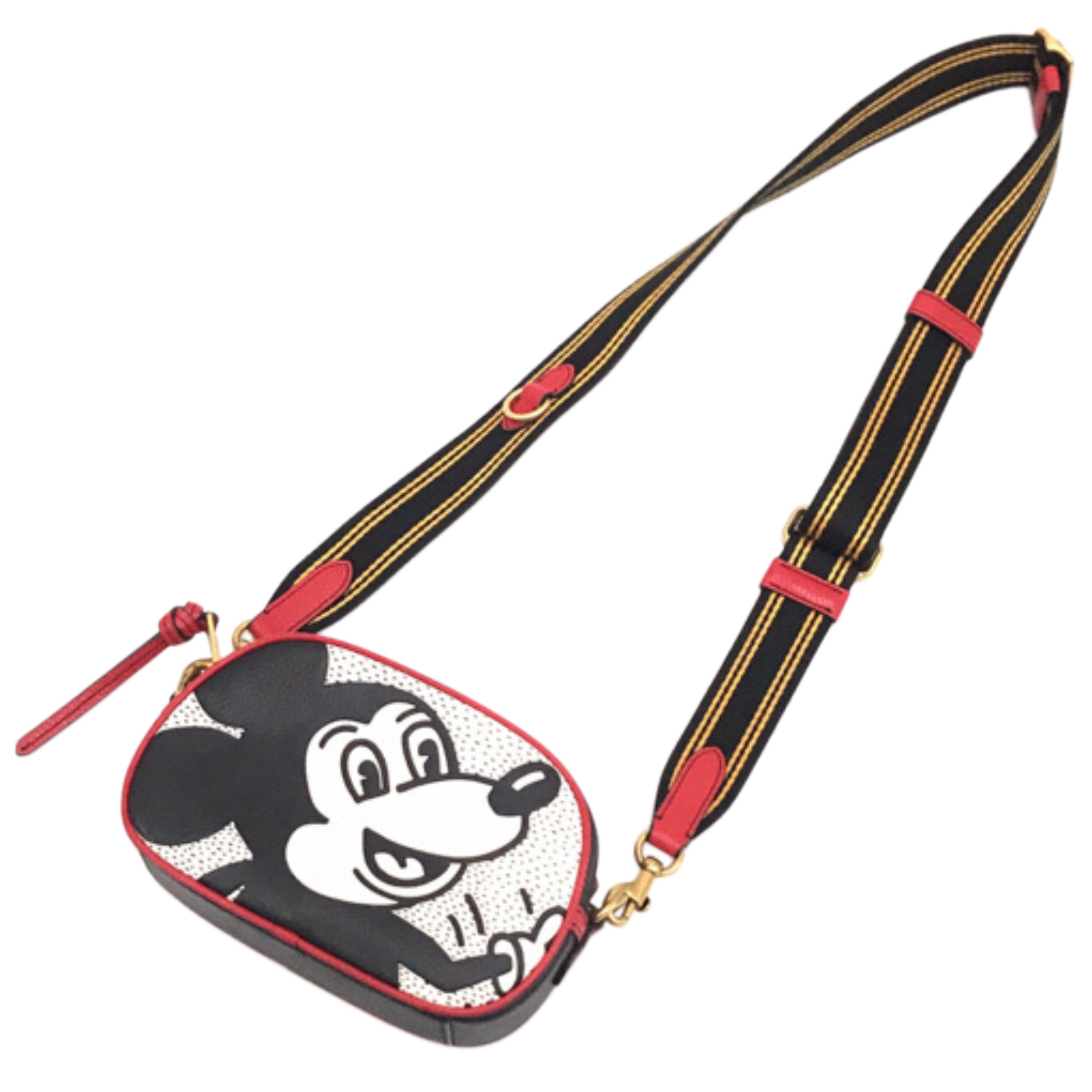 COACH Disney Mickey Mouse x Keith Haring Badge Camera Crossbody Bag