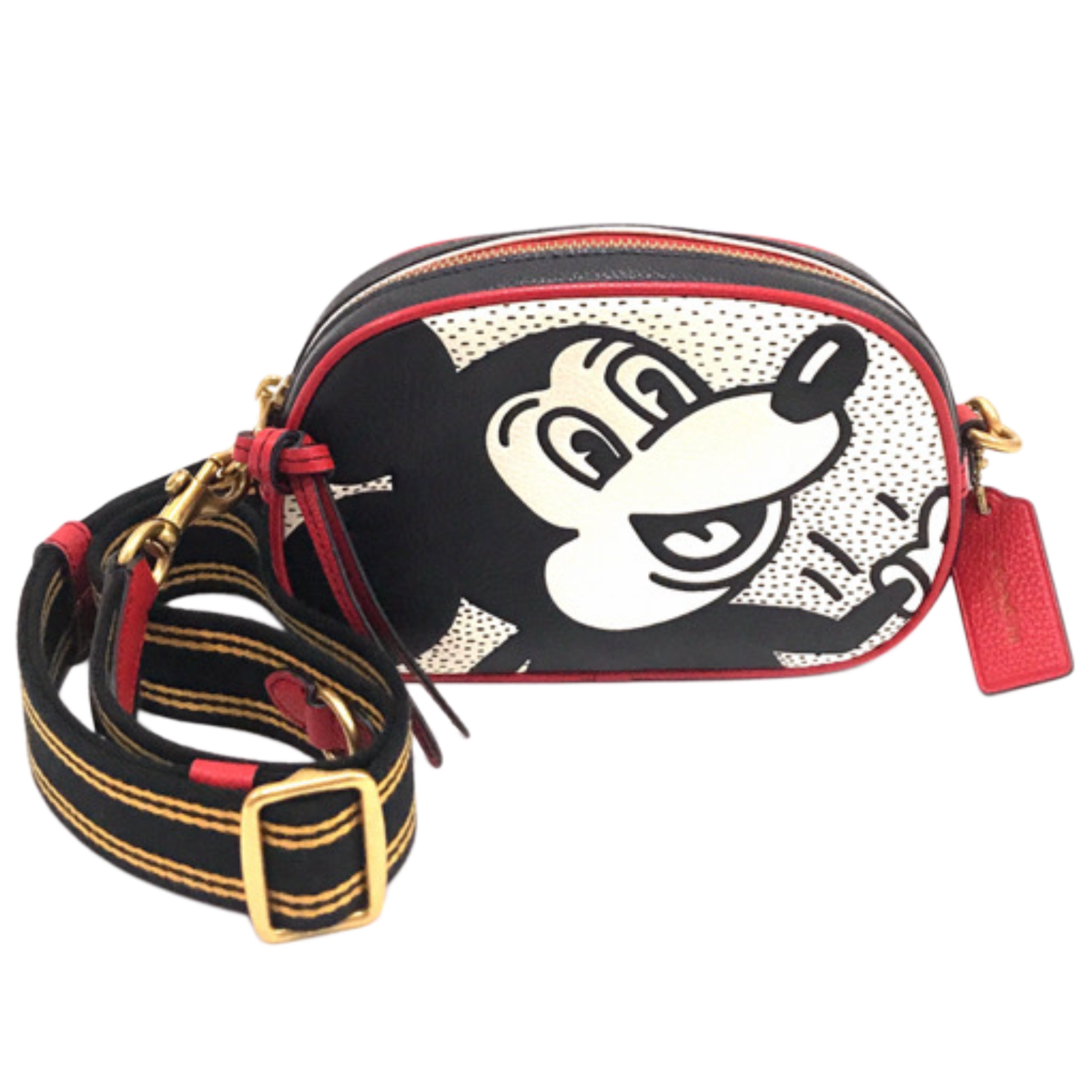 COACH Disney Mickey Mouse x Keith Haring Badge Camera Crossbody Bag