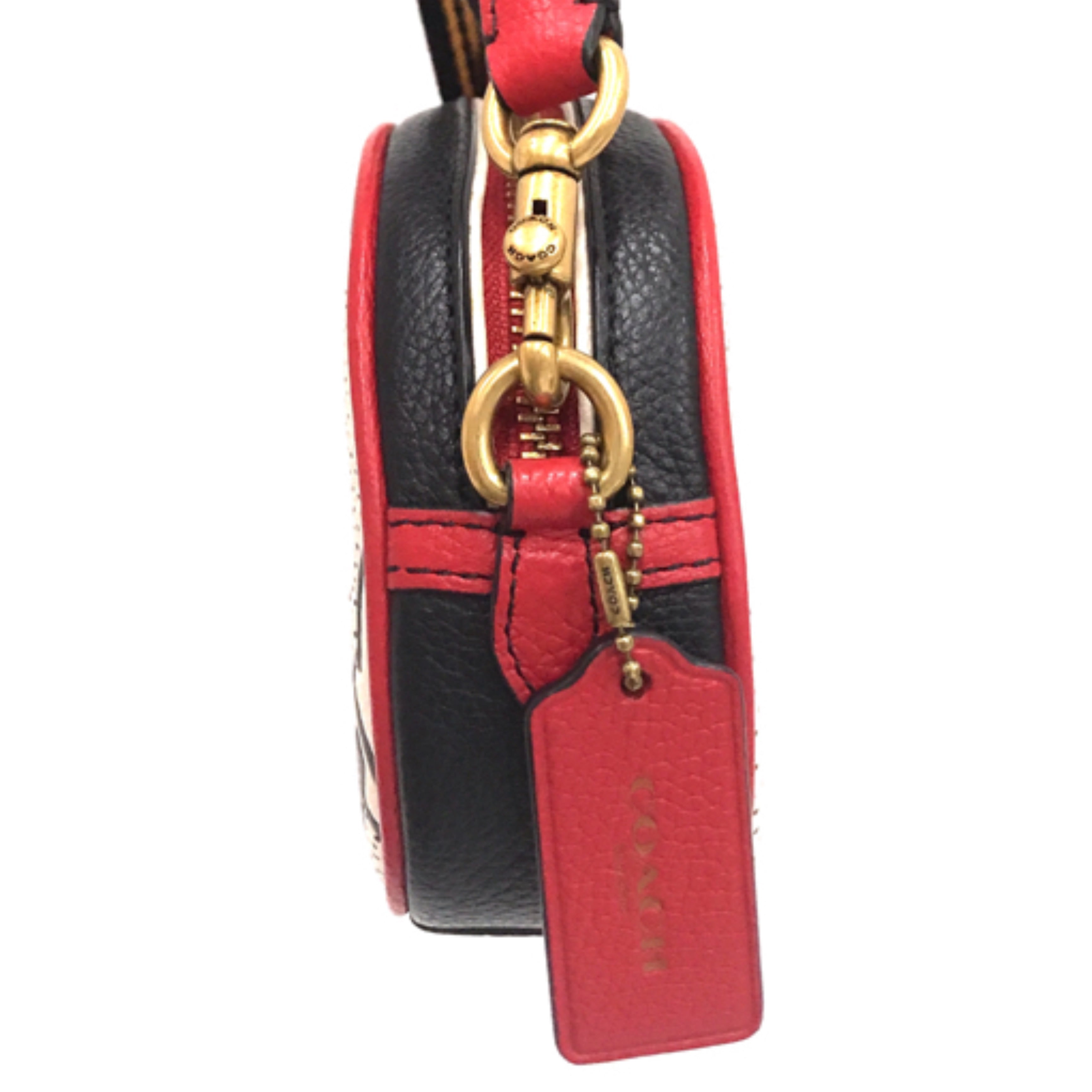 COACH Disney Mickey Mouse x Keith Haring Badge Camera Crossbody Bag